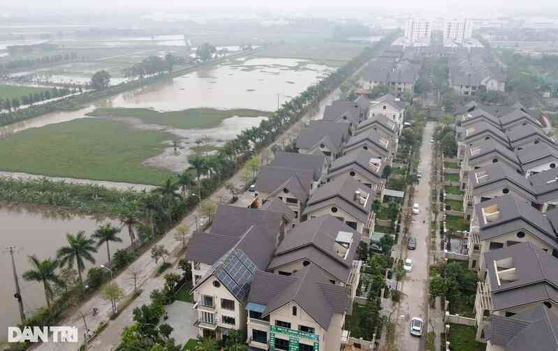 Ngăn chặn trường hợp cá nhân thu gom đất trồng lúa để đầu cơ
