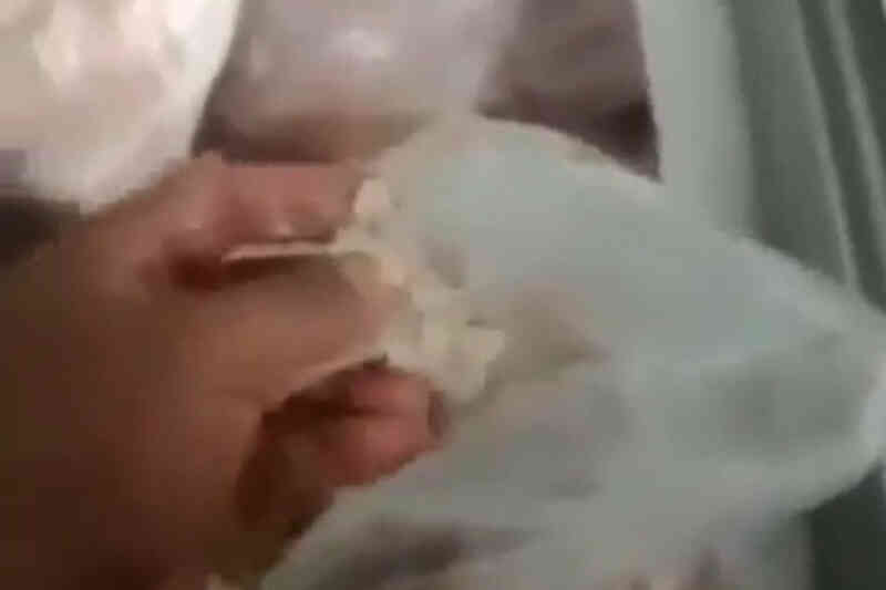 Sau vụ phát hiện thịt thối, 5 trường học tại TP.HCM dừng ăn bán trú