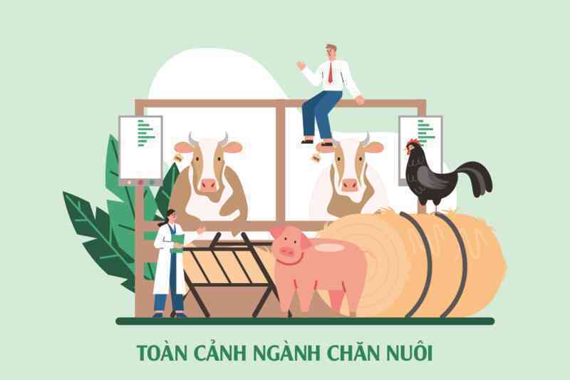 Thứ trưởng Phùng Đức Tiến: Tết không thiếu thịt lợn, gà nhưng giá chắc chắn tăng