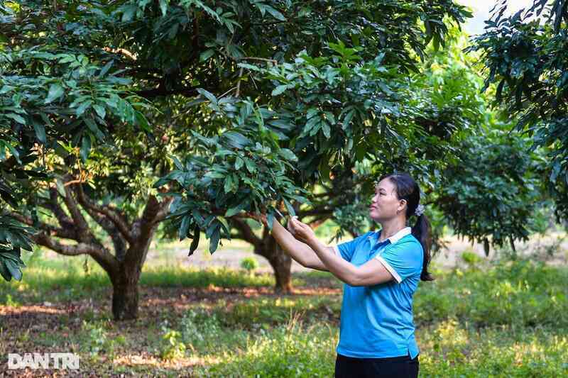 Phó Chủ tịch Hội Phụ nữ xã làm kinh tế giỏi, giúp hội viên thoát nghèo