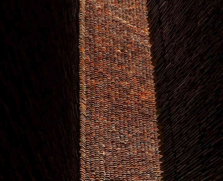 3993081256474360742381657808174456033392225n 11020142.jpg
