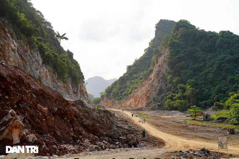 Quảng Ninh: Dự án đường ~đụng~ trên 159ha rừng