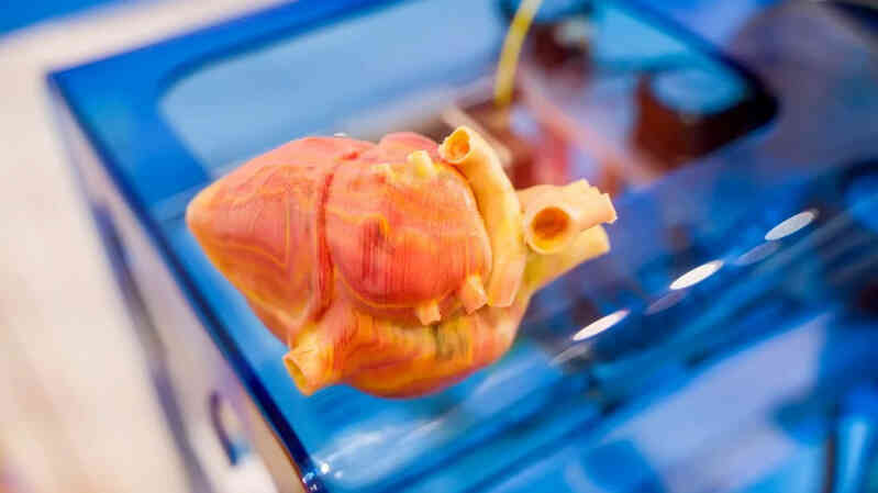 In 3D trực tiếp trên cơ thể sống có thể là cuộc cách mạng trong khoa học và y tế