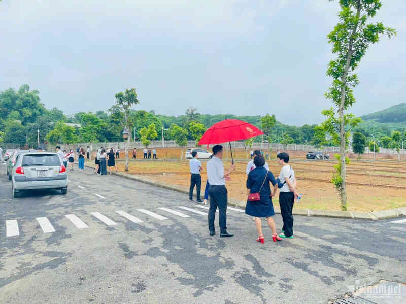 Cò đất sắp hết cửa bát nháo, thổi giá ăn chênh?