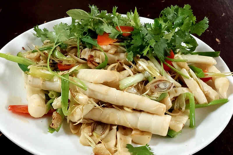 Giá tăng chóng mặt, quả cau có tác dụng như thế nào?