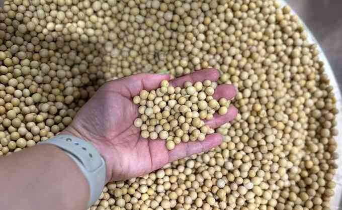 5 thực phẩm giúp giảm nguy cơ ung thư vú