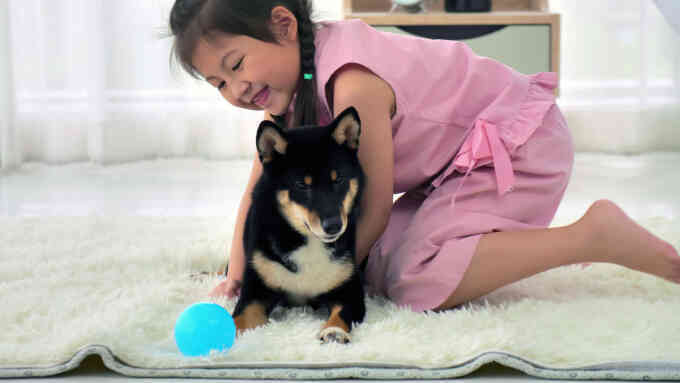 Trẻ bị chó liếm vào mắt có cần tiêm phòng dại?