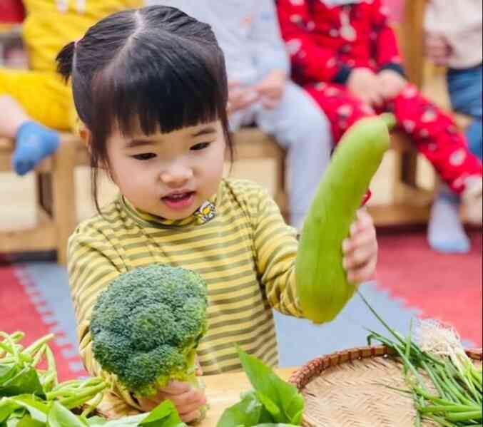 Điều gì xảy ra khi trẻ nhỏ ăn chay?