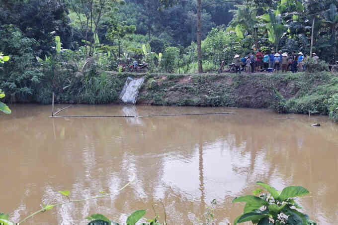 Hơn 1,3 tấn cá chết nghi do đầu độc