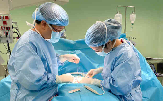 Hoại tử ruột từ trong bụng mẹ