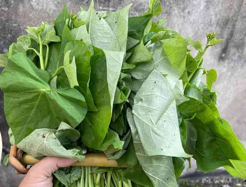 Tác dụng của loại thực phẩm cứu đói được ví là 
