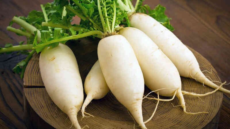 Tác dụng của ‘nhân sâm trắng’