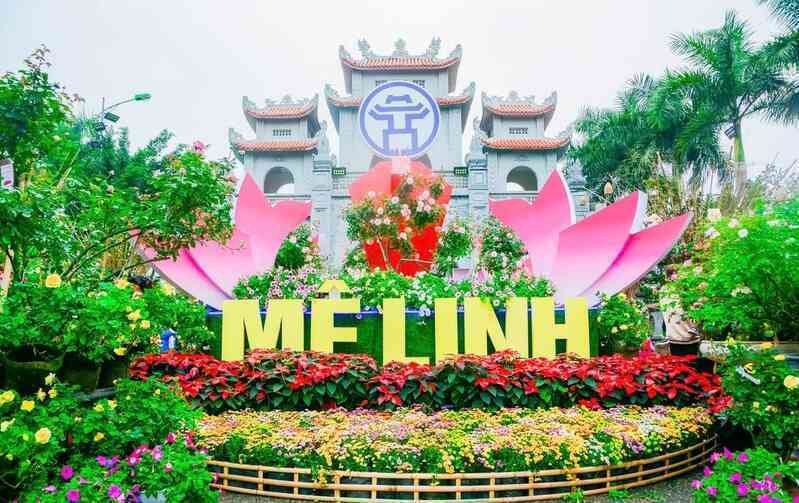 Festival hoa Mê Linh diễn ra trong 4 ngày