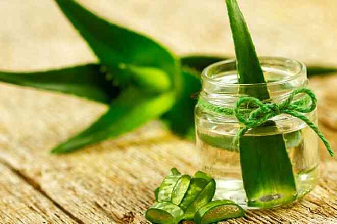 Dưỡng tóc bằng nha đam, dầu dừa như thế nào?