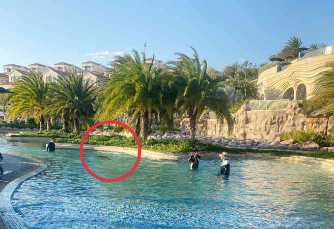 Bất thường trong vụ bé trai người Nhật chết tại hồ bơi resort 5 sao