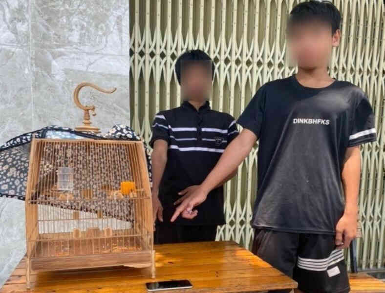 Bắt giữ 2 thanh niên trộm lồng và chim chào mào trị giá gần 120 triệu đồng