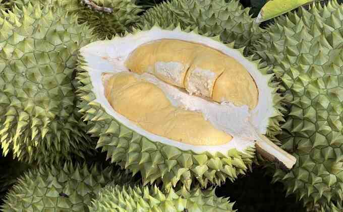 Những món không nên ăn hay uống cùng sầu riêng