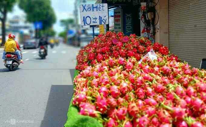 Thanh long giảm mạnh xuống 10.000 đồng một kg