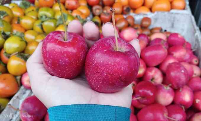 Táo cherry Trung Quốc `gắn mác` Hàn Quốc, Australia