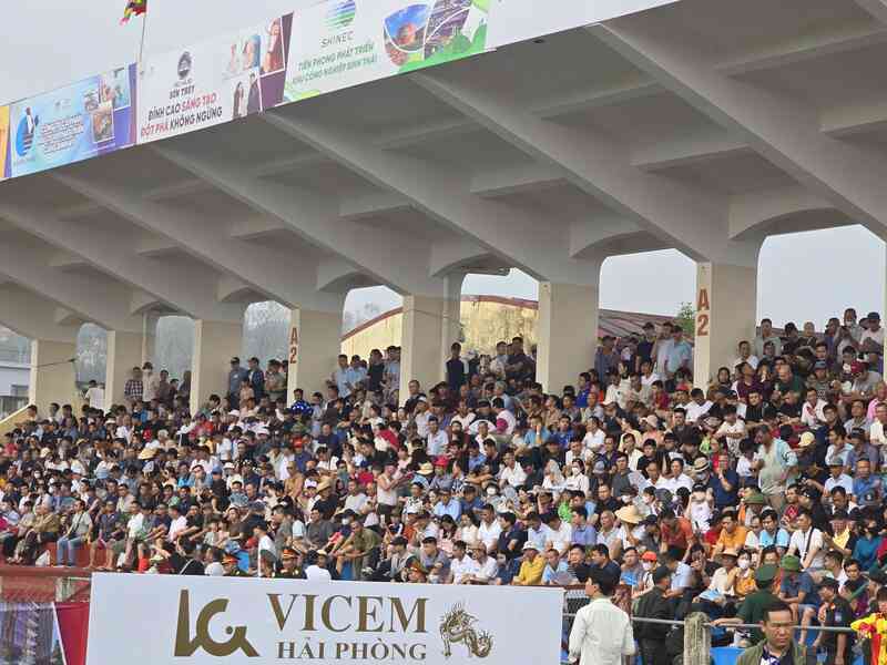 Hàng vạn người đổ về Hải Phòng xem lễ hội chọi trâu Đồ Sơn