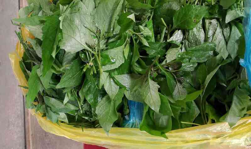 Loại rau mọc hoang tốt cho tim mạch, ngừa ung thư