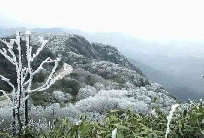 Băng giá xuất hiện ở vùng cao Nghệ An