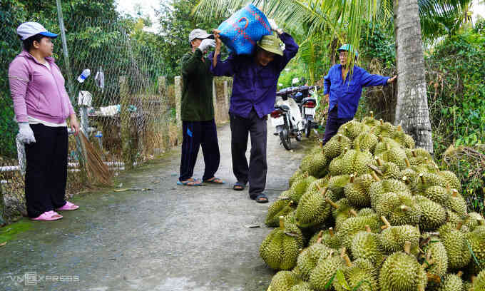 Trung Quốc tăng mua gấp rưỡi sầu riêng Việt