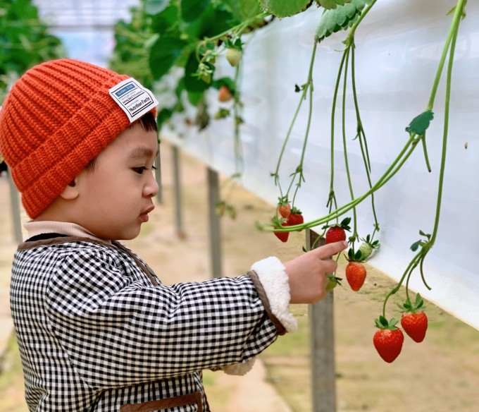 5 cách phòng bệnh tiêu hóa cho trẻ dịp Tết