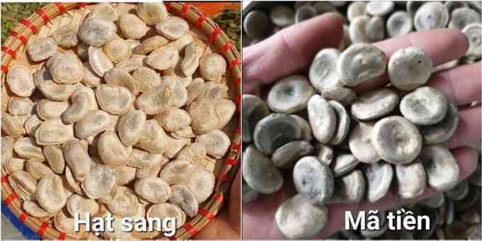 Ngừng tim, ngừng thở sau khi dùng bột chữa bệnh dạ dày