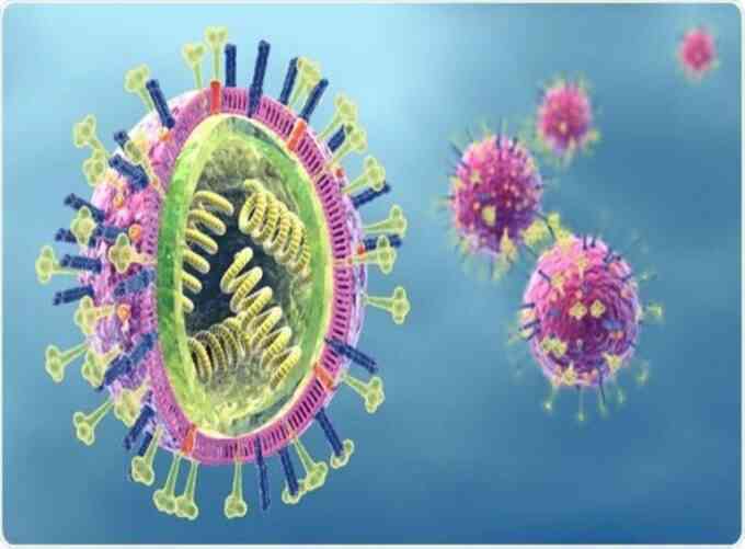 Các chủng virus cúm thường gặp