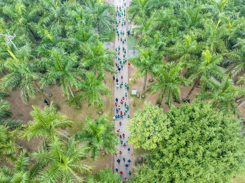 Đô thị lớn bậc nhất Nghệ An lần đầu tổ chức giải chạy Eco Central Park Marathon