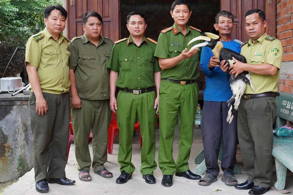 Người dân bàn giao chim hồng hoàng quý hiếm cho kiểm lâm ở Tây Ninh