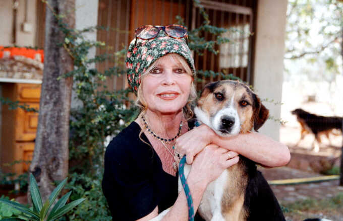 Biểu tượng điện ảnh Pháp Brigitte Bardot qua đời