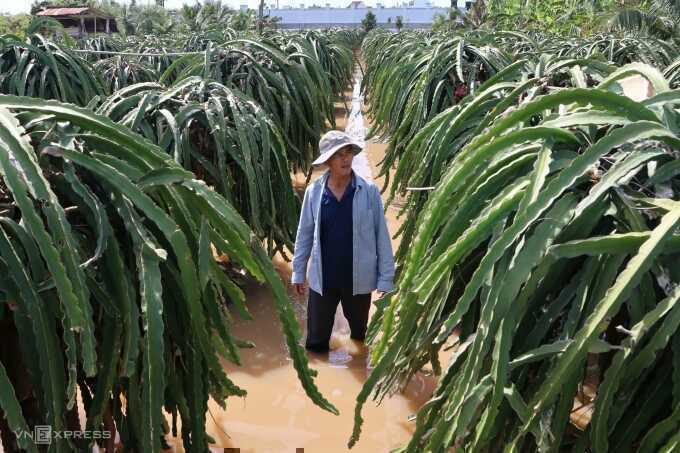 Vì sao vùng Bình Thuận ngập lụt lịch sử?