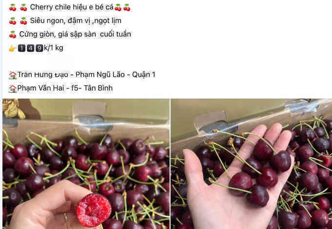 Cherry Chile về Việt Nam 