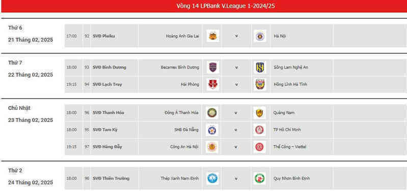 Lịch thi đấu vòng 14 V-League 2024/25 mới nhất