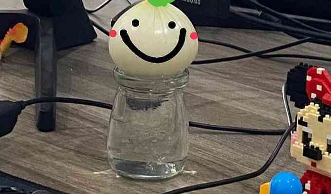 Sự thật về trồng hành tây 