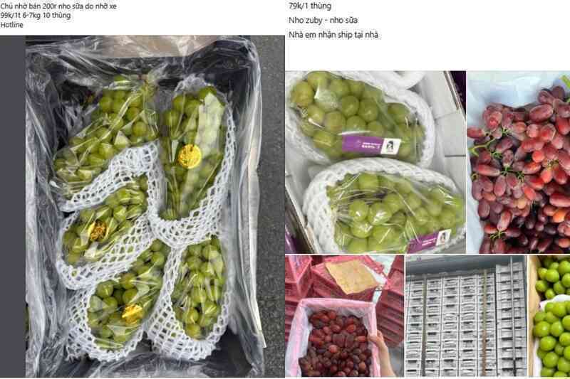 Nho sữa Trung Quốc rớt giá còn hơn 10.000 đồng/kg