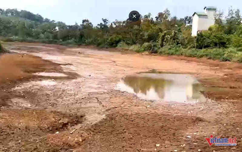 40 hộ dân góp tiền tỷ cứu cây cà phê sắp chết khát