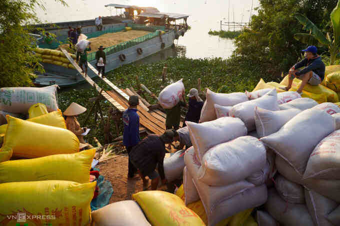 Thủ tướng yêu cầu kiểm tra, giám sát thu mua gạo xuất khẩu