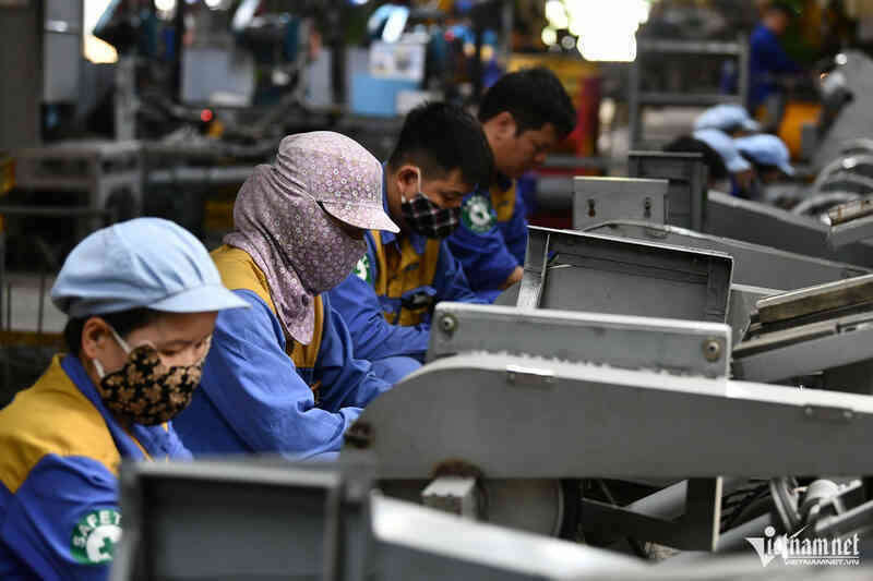 Ngành thống kê tiến hành điều tra doanh nghiệp trên cả nước từ hôm nay