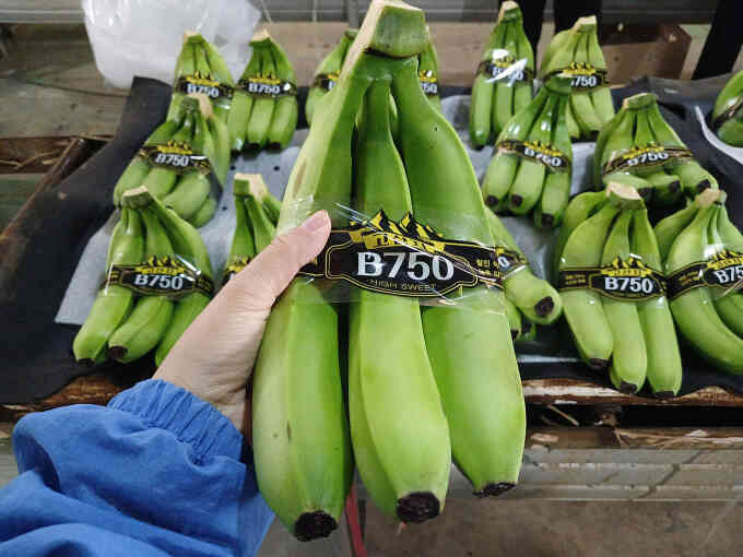 Trung Quốc - thị trường tỷ USD của nông sản Việt