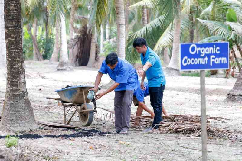 Vietcoco nỗ lực đổi mới để nâng cao giá trị dừa Việt trên trường quốc tế