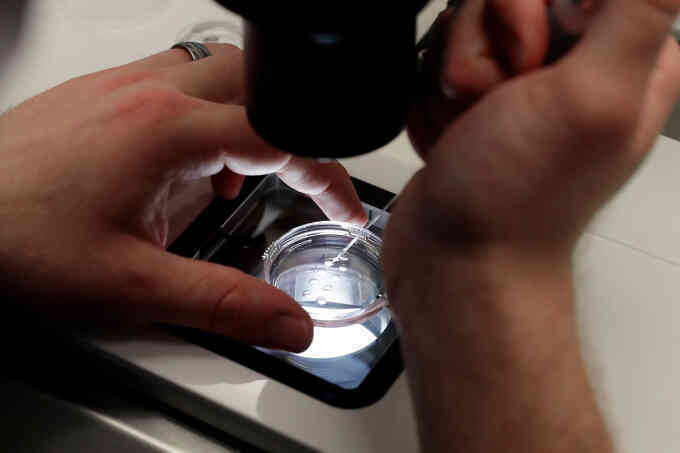 Mang thai hộ bất đắc dĩ do sai lầm trong quy trình IVF