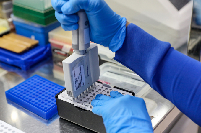 Bé gái viêm não do nhiễm cúm H5N1 sau tiếp xúc gà chết