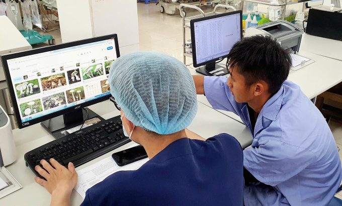 Vợ chồng hôn mê do ngộ độc sau ăn nấm