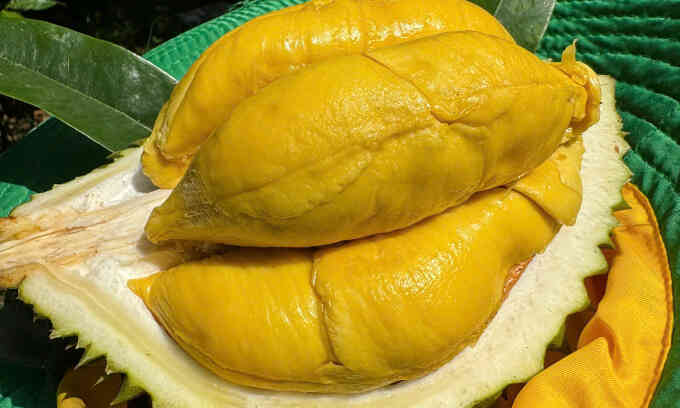 Sầu riêng Việt nguy cơ thất thế ở thị trường Trung Quốc