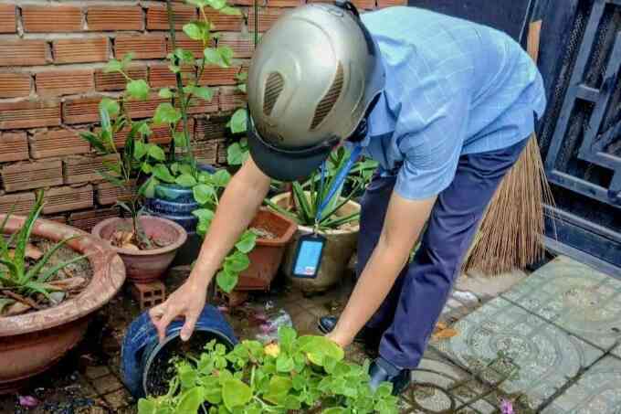 Làm gì phòng sốt xuất huyết trước khi bệnh vào mùa?