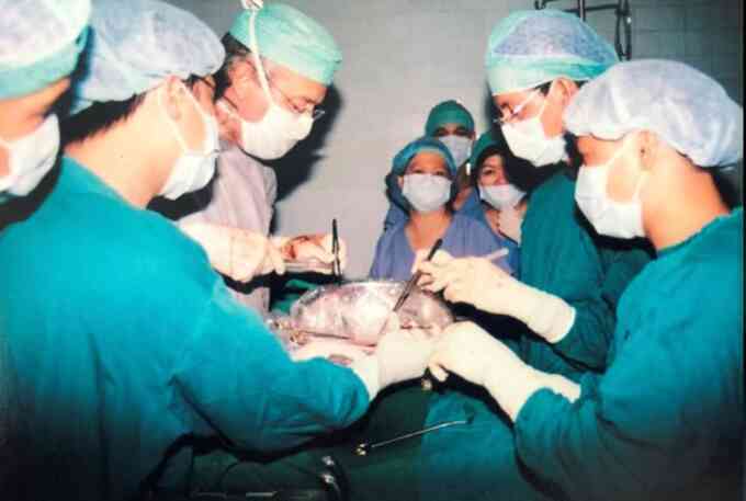 Những lá gan 
