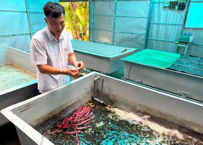 Tiến sĩ mê vỗ béo `cua mít` Cà Mau
